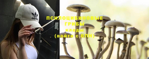 а пвп мука Алзамай