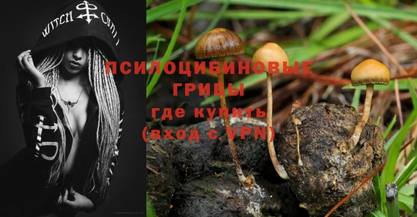 а пвп мука Алзамай
