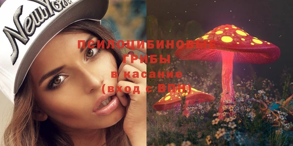 спайс Арсеньев