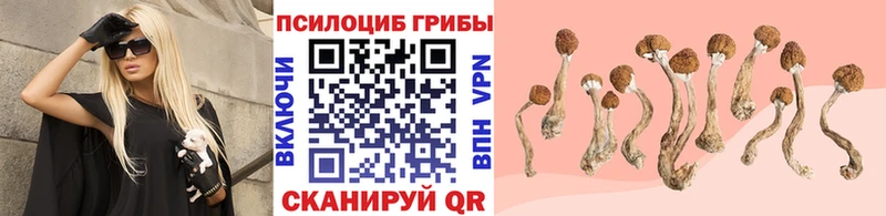 blacksprut маркетплейс Куйбышев Галлюциногенные грибы GOLDEN TEACHER