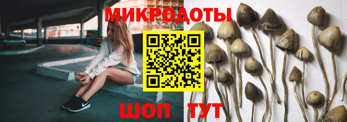 Галлюциногенные грибы Cubensis  Галлюциногенные грибы Cubensis  Куйбышев  Вход с VPN 