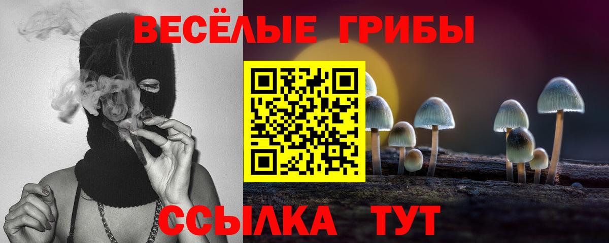 Галлюциногенные грибы GOLDEN TEACHER Куйбышев